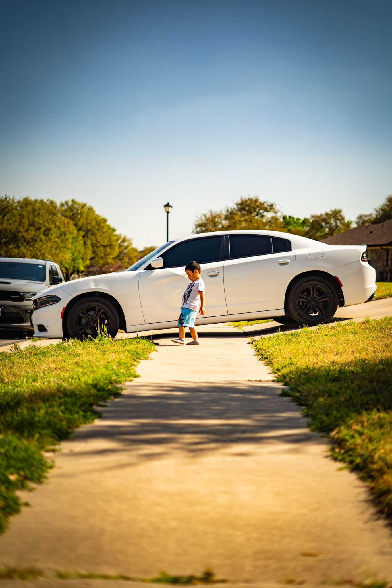 Window tint on white Dodge Charger — tinted side and rear windows, Killeen TX